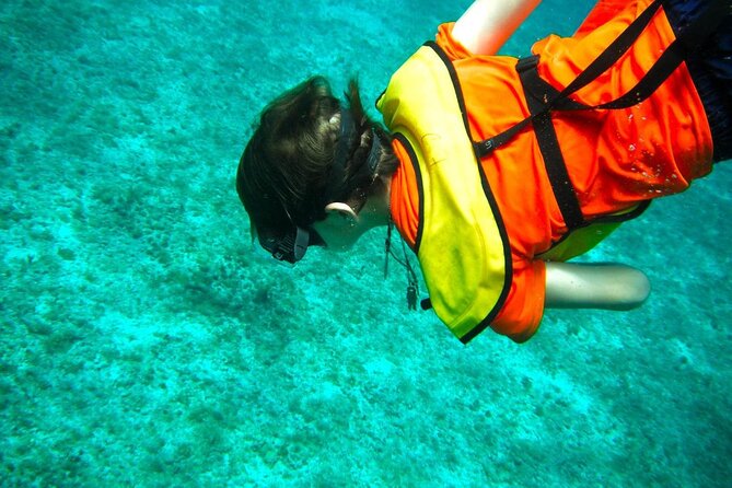 Cozumel Buggy Tour: Snorkeling , Otoch Mayan Experience & Lunch - Customer Feedback and Concerns