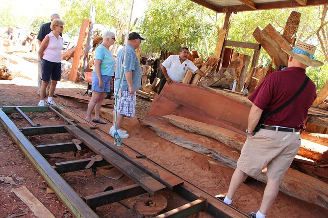Cultural & Ecology, Nature & History of the Hidden Towns of Southern Baja! - Relaxing in Buena Vistas Hot Springs