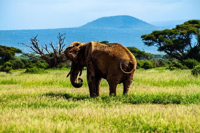 Day Tour To Amboseli National Park - Preparing for Your Amboseli Adventure
