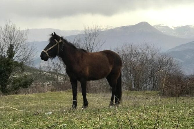 Day Trip From Berat to Sotira Waterfall - Hiking 4x4 Tour - Frequently Asked Questions