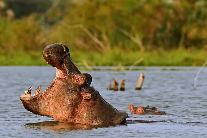Day Trip - Hells Gate and Lake Naivasha From Nairobi - Tips for a Great Experience