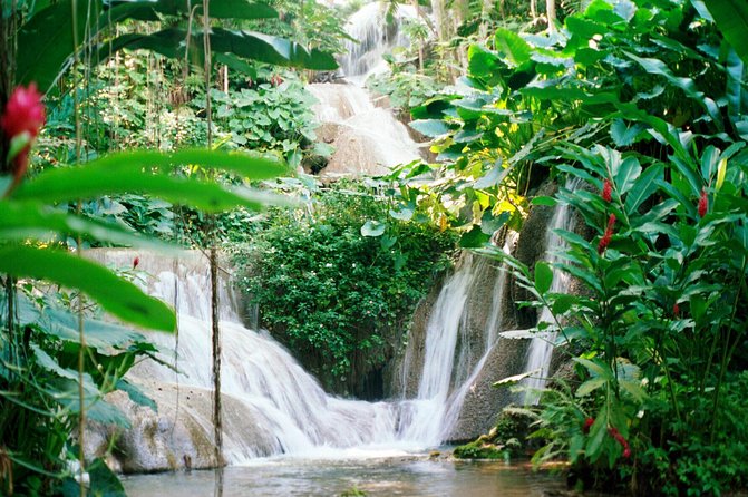 Day Trip to Bob Marleys Nine Mile and Dunns River Falls From Falmouth - Cancellation and Refund Policy