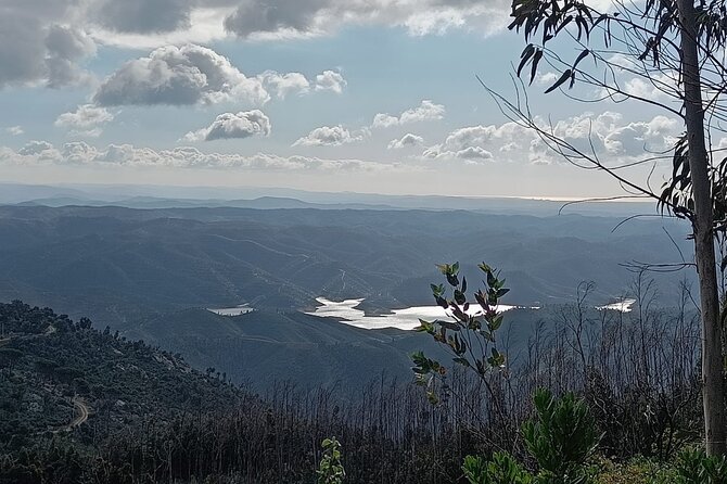 Discover Monchique - What to Expect on the Tour