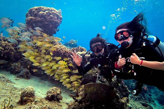 Discover Scuba Diving in Cozumel Paradise Reef - Comfortable Atmosphere and Patient Instructors