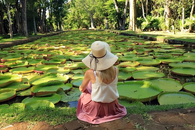 Discovering the North of Mauritius: Full-Day Incl Botanical Garden & Lunch - Tour Logistics and Accessibility