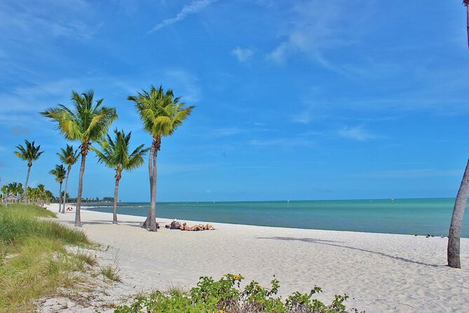 Dolphin Morning Watching & Snorkeling + Open Bar + 1 Day Hop-On Hop-Off Fun - Customer Reviews