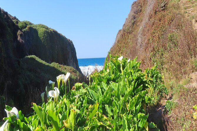 Driving the California Coast: A Self-Guided Audio Tour - Sum Up
