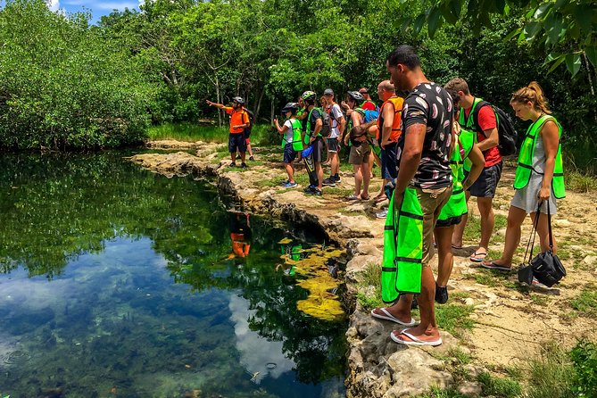 E-bike West Coast Snorkeling Tour - Critiques and Concerns
