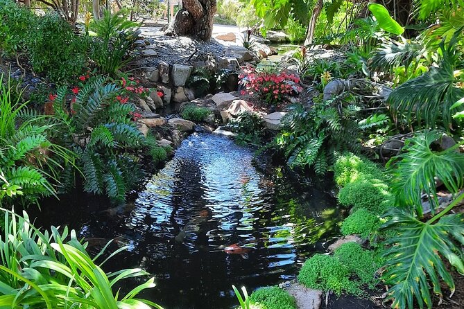 Electric Bike Self Guided Food Tour of North San Diego Coast - Recommended Restaurants to Visit