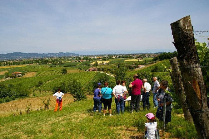 Euganean Hills Wine Tour - Sum Up