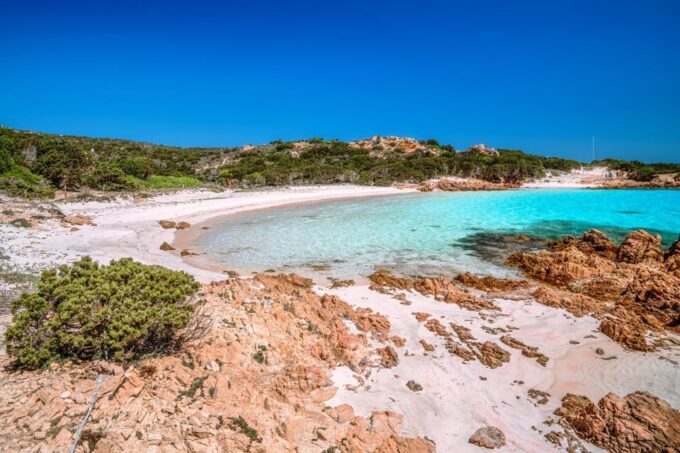 Excursion to Maddalena on an Opera 53 - Customer Reviews