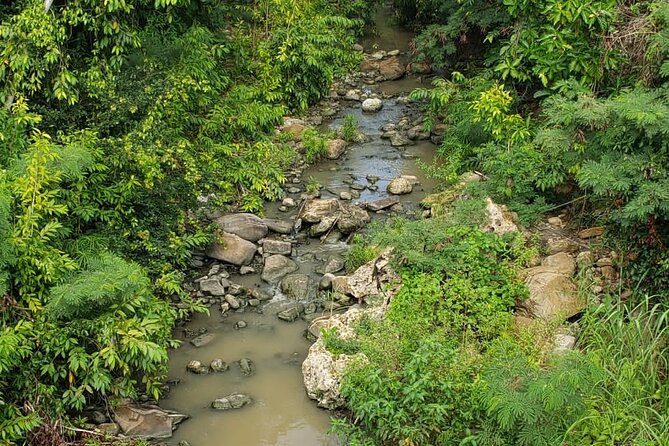 Five Hour Day Pass: 3 Hour Fun Hike and Challenges/Great Experiences/Bajan Lunch - Overall Ratings and Reviews
