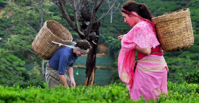 From Kandy: Nuwara Eliya & Ramboda Waterfall Day Tour by Tuk - Nuwara Eliya Sightseeing