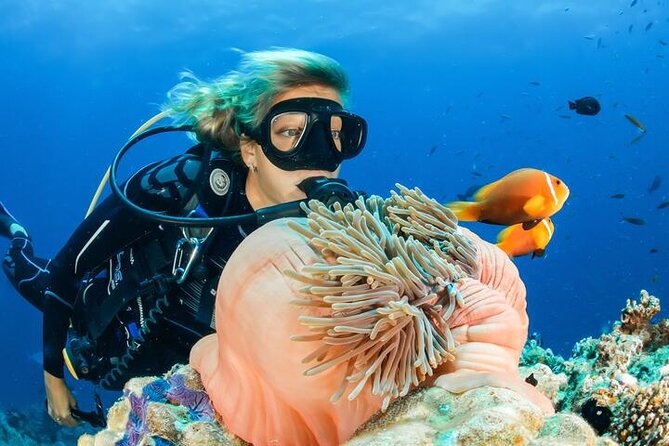 Full Day Diving for Beginners With Lunch in Hurghada - Frequently Asked Questions
