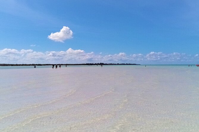 Full Day Excursion to the Best of Holbox From Riviera Maya - Frequently Asked Questions