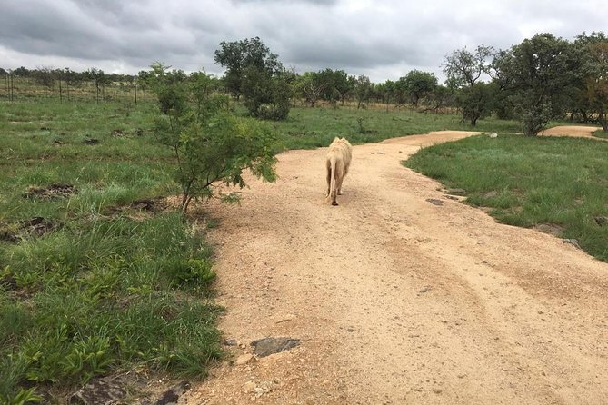 Full Day Lesedi Cultural Village and Mini Safari Tour - Frequently Asked Questions