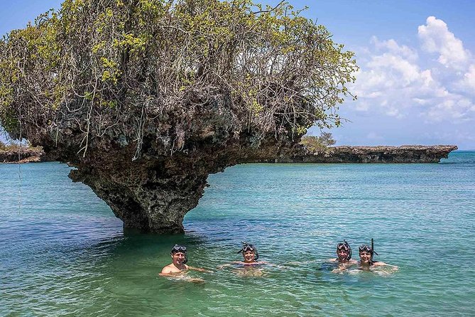 Full-Day Safari Blue Trip in Zanzibar With Lunch Buffet - Good To Know