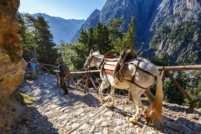 Full-Day Samaria Gorge Hiking Tour From Chania - Post-Hike Relaxation at Agia Roumeli