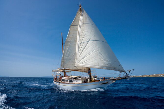 Full Day Tour in Koufonisi and Naxos - Customer Feedback