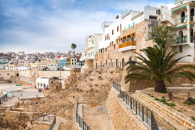 Full Day Trip in Tangier With Camel Ride - Camel Ride Adventure