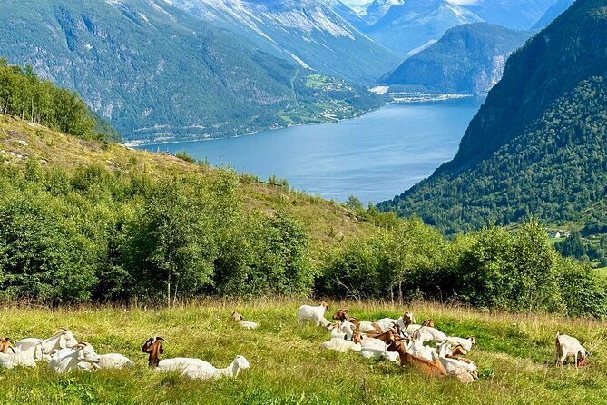Geiranger Tour in the Footsteps of Royalty  - Andalsnes - Sum Up