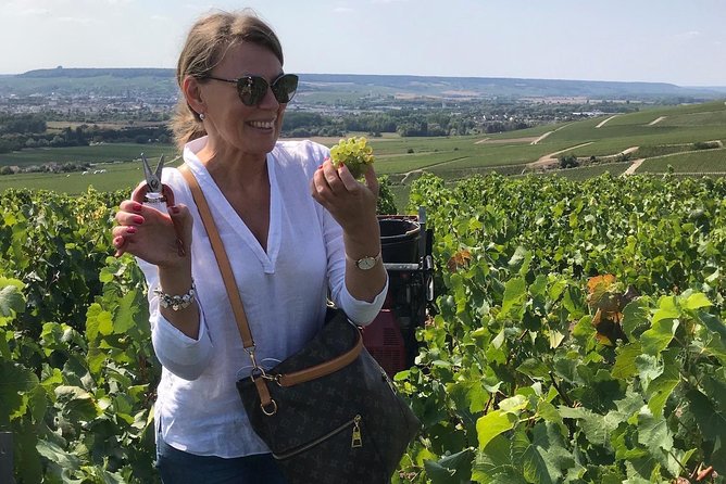 Gold Champagne Experience From Epernay (Private Full Day Tour) - Tour Details and Cancellation Policy