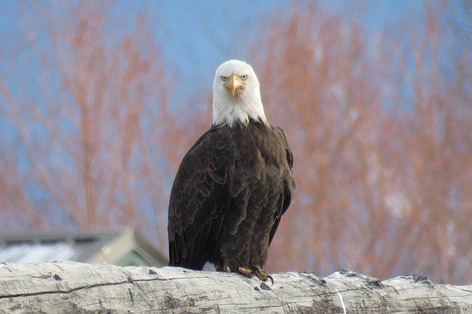 Grand Teton National Park - PRIVATE Sunrise Tour From Jackson Hole - Frequently Asked Questions