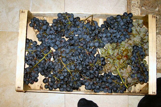 Half Day Tour - Deep and Dark Red Wine of Pelješac - Enhancing the Tour Experience