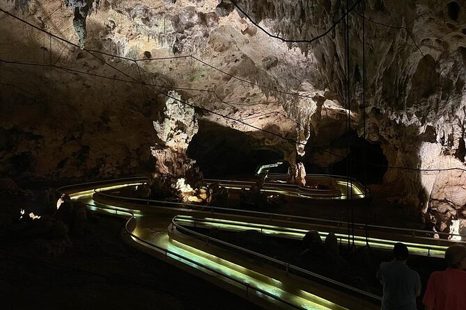 Half-Day Tour: Ron Barceló Factory Experience From Santo Domingo - Booking and Cancellation