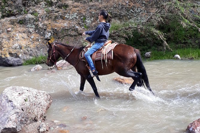 Half Day Trail Riding in San Miguel De Allende - Additional Discounts