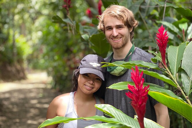 Hana Tour Incl Reservation @ Black Sand Red Sand Waterfall Jump - What to Expect