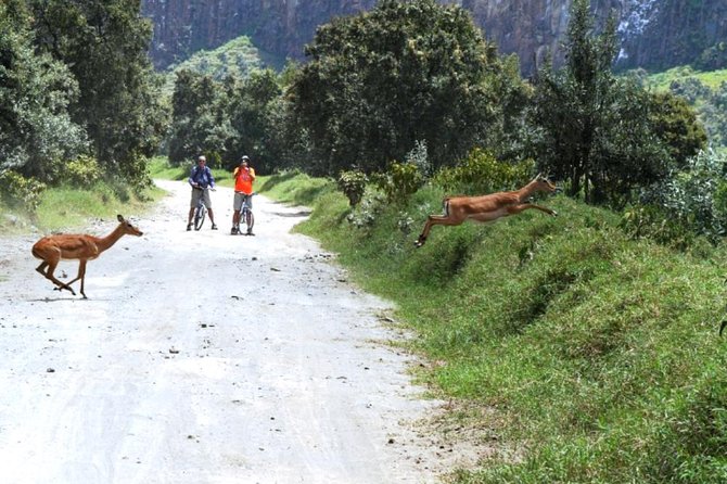 Hells Gate Excursion in Naivasha - Frequently Asked Questions