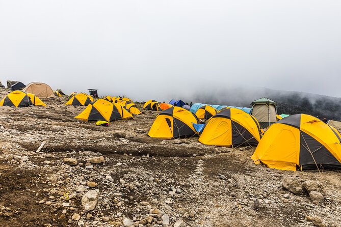 Hiking Mt Kilimanjaro 7 Days Scenic Route & Moderate Challenge - Cancellation and Reviews
