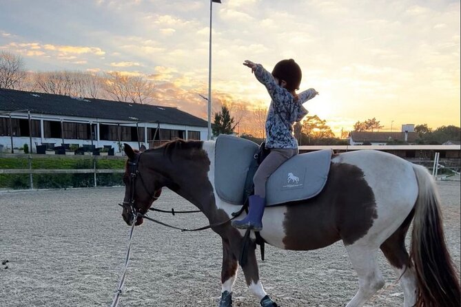 Horse Riding in Aveiro – Ílhavo
