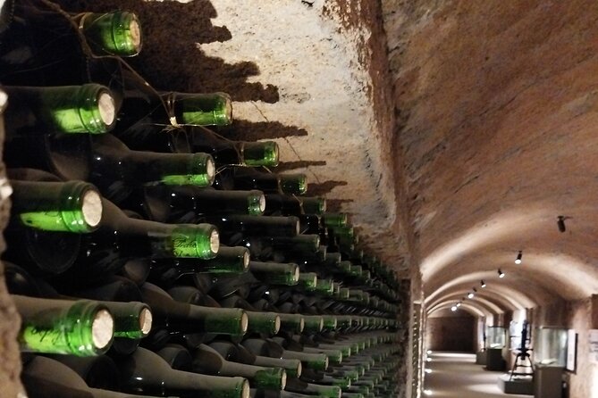 I Want More Wine, Valle De Guadalupe Tours - Booking and Reservations