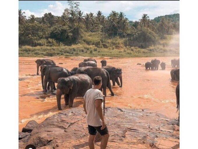 Kandy to Pinnawala Day Tour By Local Tuk Tuk Expedition - Customer Reviews