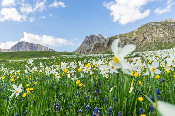 Kapetanovo Lake Hiking - Ask Away
