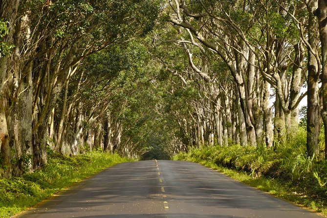 Kauai Poipu & Koloa Town Audio Driving Tour - Questions About Your Stay