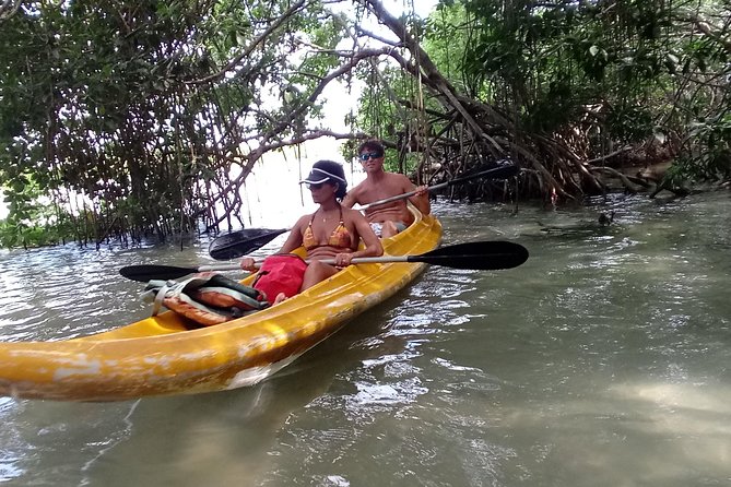 Kayak Through Mangroves to Secret Beach - Frequently Asked Questions