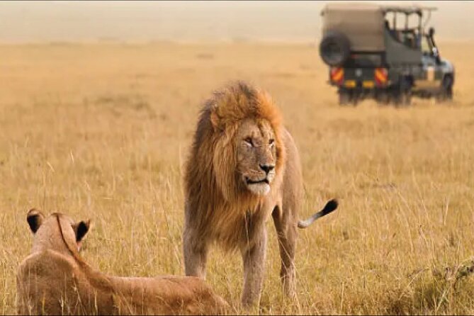 Kenya Safari - Frequently Asked Questions