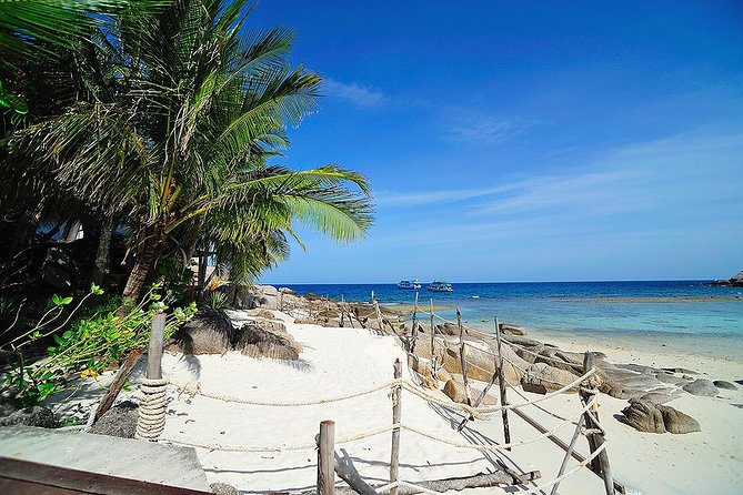 Koh Tao and Koh Nang Yuan Speedboat Tour From Koh Samui - Booking and Cancellation Policy