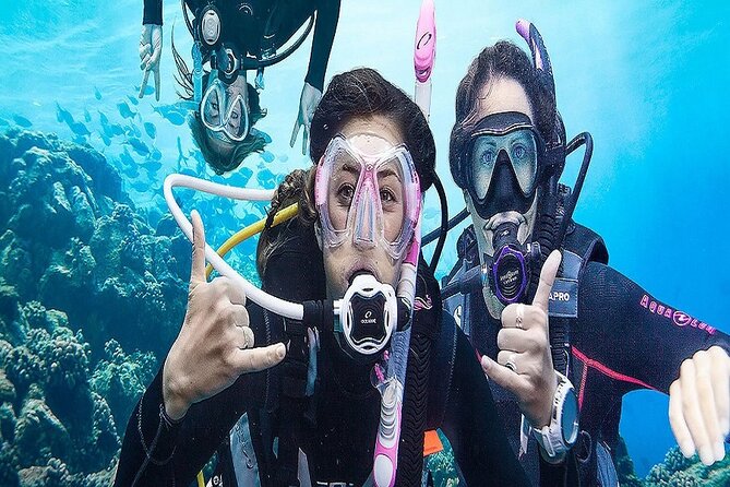 Kusadasi Scuba Diving - The Sum Up
