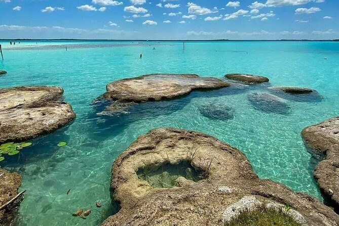 Lagoon of 7 Colors From Costa Maya - Boat Tour and Transportation - Experience Highlights