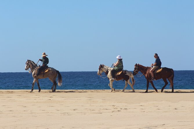 Los Cabos ATV and Pacific Horseback Riding Combo Tour - Booking and Contact