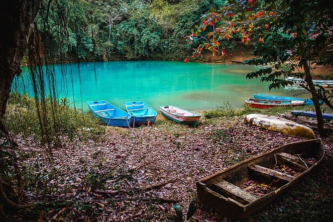 Los Haitises & Cayo Levantado (Lunch Included, From Samana in Catamaran or Boat) - Pricing and Booking Information