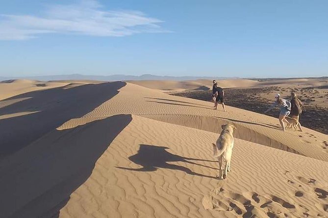Massa+Mini Sahara and Tiznit Silver City by Jeep - Top Highlights of the Tour