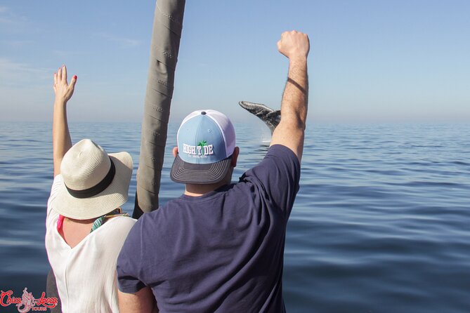 Mega Yacht Whale Watching ALL-Inclusive Daytime Adventure. - Exceptional Service Commitment