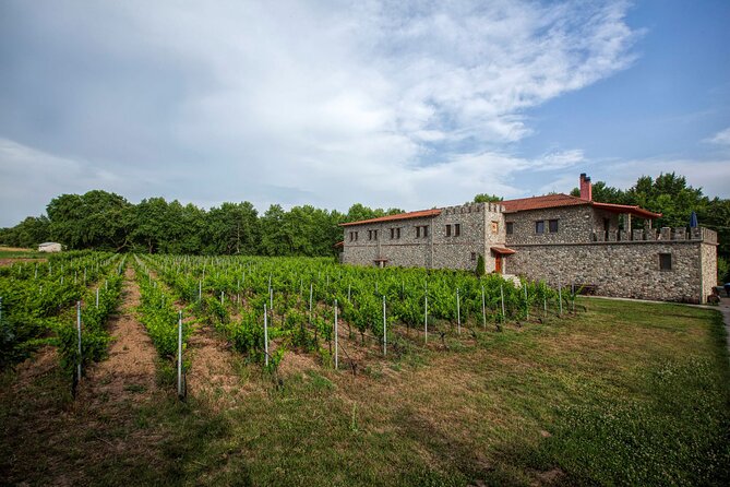 Meteora Private Guided Wine Tasting Experience From Kalampaka - Visit Meteora Operator