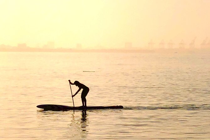 MORNING TOUR Paddleboard or Kayak - Questions About Your Stay