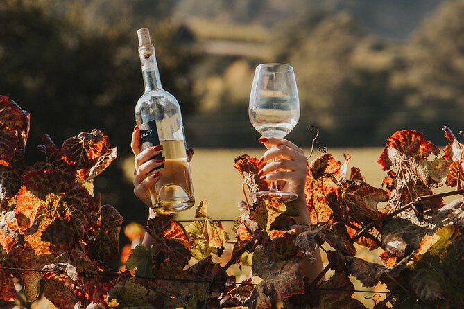 Napa and Sonoma Wine and Food Experience (Napa Pickup) - Sum Up